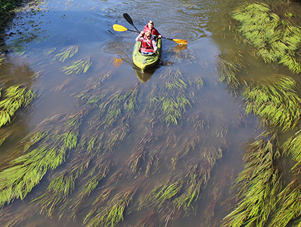 Bild aus Glückortebuch: Blick auf den Fluss Fulda mit einem Kanu und zwei Paddlerinnen