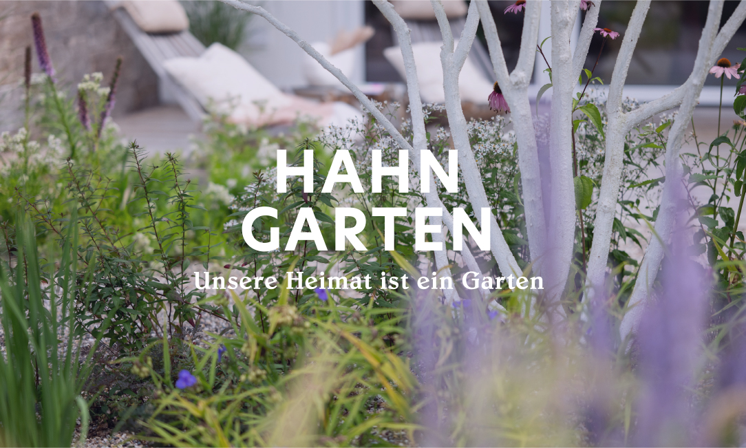 Blick in einen modernen Garten mit Staudenbeet, weiß getünchten Bäumen und Gartenliege